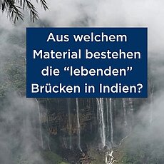 Was glaubt ihr, aus welchem ungewöhnlichen „Baumaterial“ diese Brücke besteht? 🤔 Es ist echtes Teamwork zwischen Mensch...