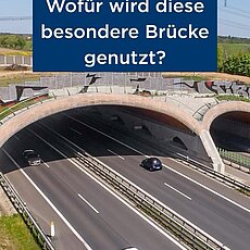 Stell dir eine Brücke vor, die sich direkt über eine vielbefahrene Autobahn spannt. Sie ist breit, komplett mit Bäumen u...